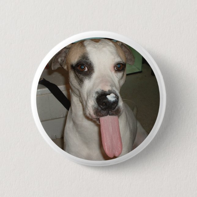 FUNNY DOG PIN (Front)