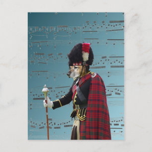 Funny dog pipe major postcard