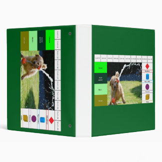 Funny dog playing educational shapes colours math binder