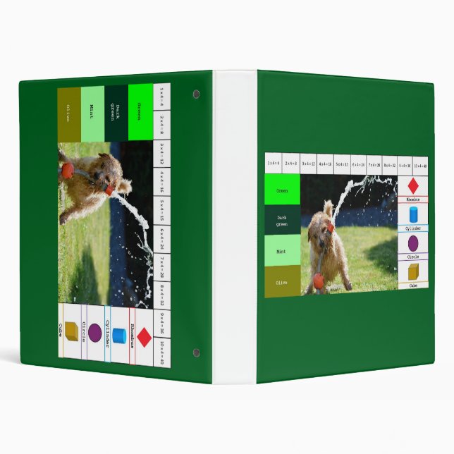 Funny dog playing educational shapes colours math binder (Background)