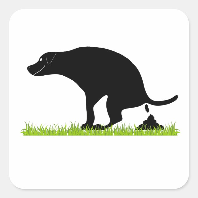 Funny Dog Pooping Square Sticker (Front)