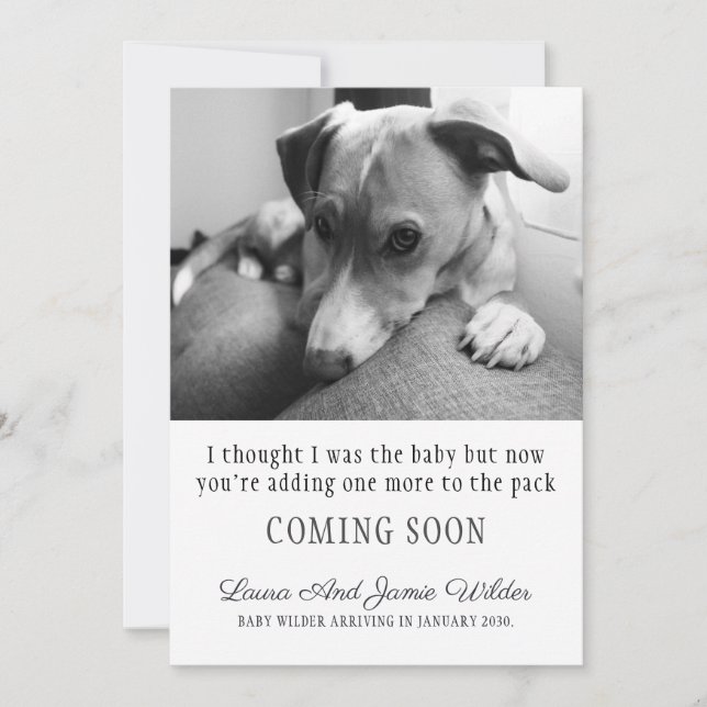 Funny Dog Pregnancy Announcement (Front)
