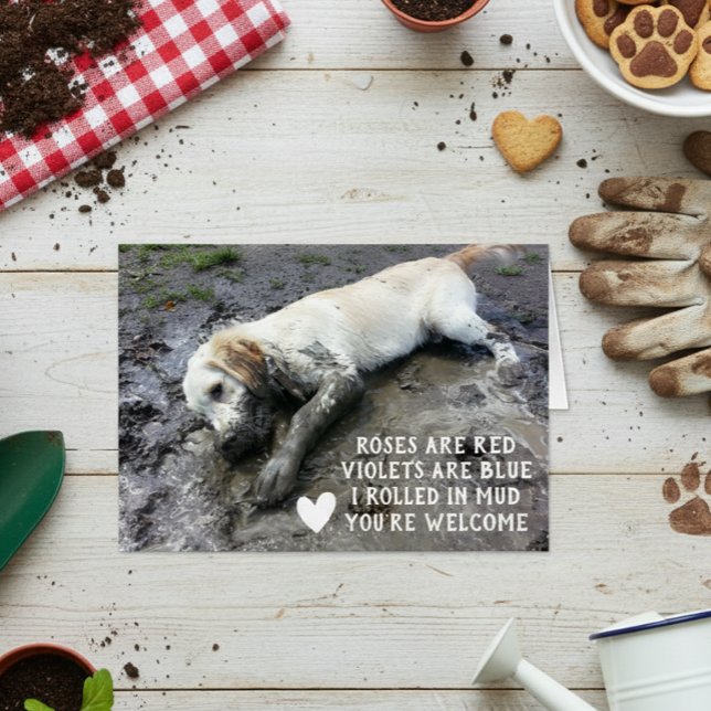 Funny Dog Puppy Valentine's Day Meme (Creator Uploaded)