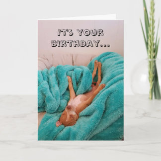 Funny Dog Relaxing Birthday Card