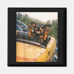 Funny Dog Roller Coaster Meme Silly Graphic Magnet