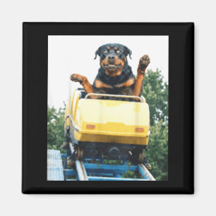 Funny Dog Roller Coaster Meme Silly Graphic Magnet