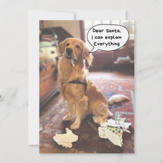 Funny Dog Santa I Can Explain Everything Christmas Holiday Card