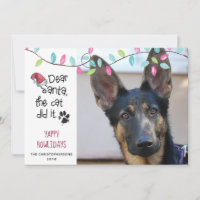 Funny Dog Saying | Pastel Lights | Photo