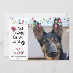 Funny Dog Saying   Pastel Lights   Photo Holiday Card