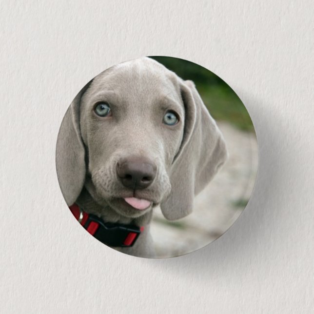 Funny Dog Sticking Tongue Out Photo 1 Inch Round Button (Front)