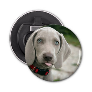 Funny Dog Sticking Tongue Out Photo Bottle Opener
