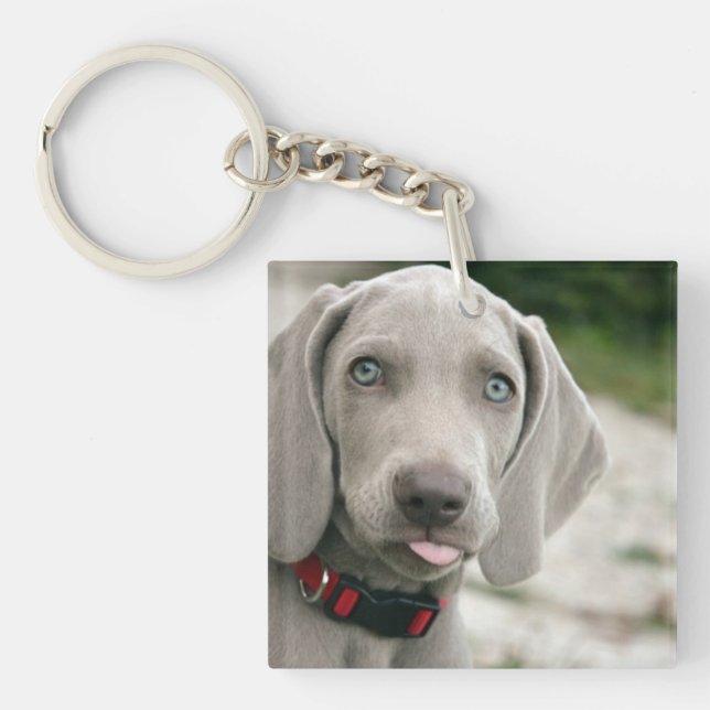 Funny Dog Sticking Tongue Out Photo Keychain (Front)