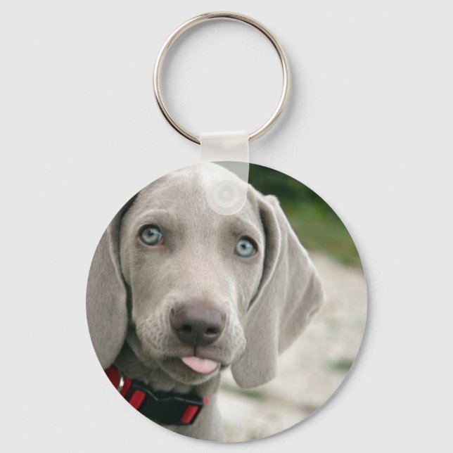 Funny Dog Sticking Tongue Out Photo Keychain (Front)