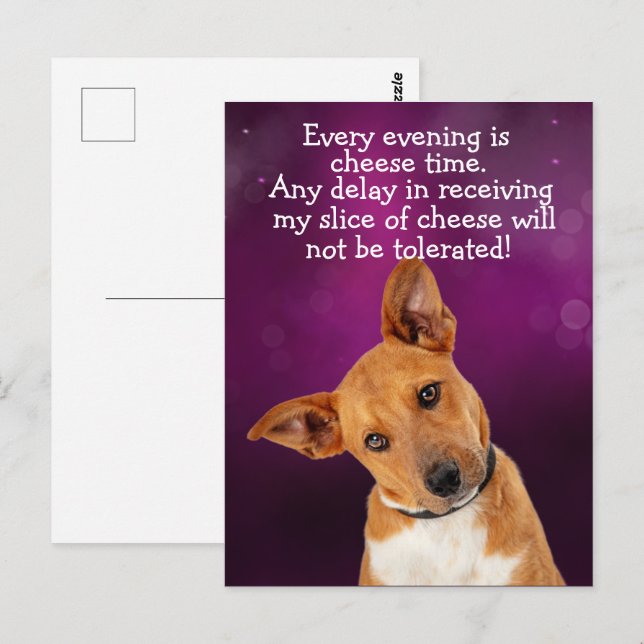 Funny dog thought postcard (Front/Back)