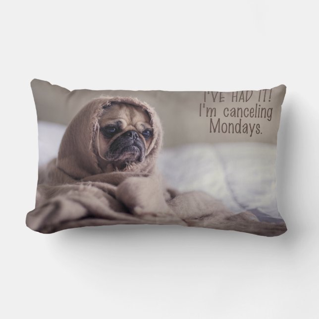 Funny Dog throw pillow (Front)