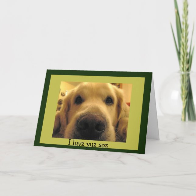 Funny Dog Valentines Holiday Card (Front)