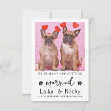 Funny Dog Wedding Invitation