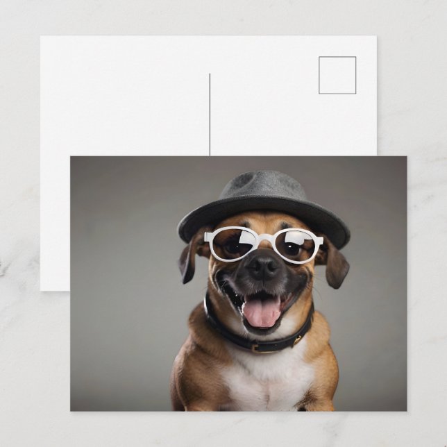 Funny dog with glasses and hat postcard (Front/Back)