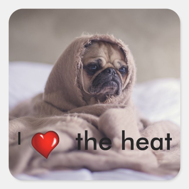 Funny doggy square sticker (Front)