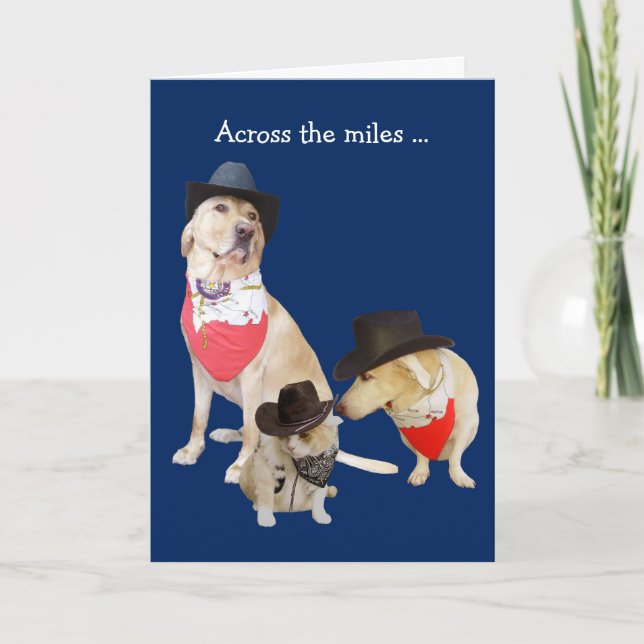 Funny Dogs and Cat Across the Miles Birthday Card (Front)