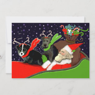 Funny Dogs Christmas Holiday Card