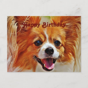 Funny Dogs Happy Birthday Postcard