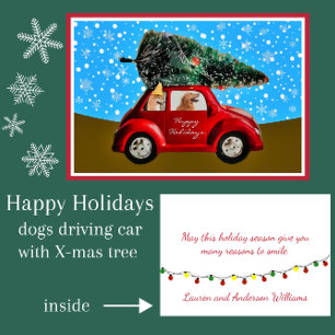 Funny Dogs in Car with Retro Christmas Tree Holiday Card