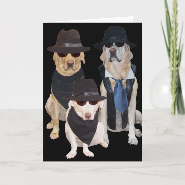 Funny Dogs/Labs Over the Hill Birthday Card (Front)