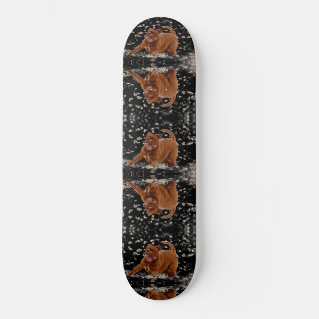 Funny Dogs Skateboard (Front)