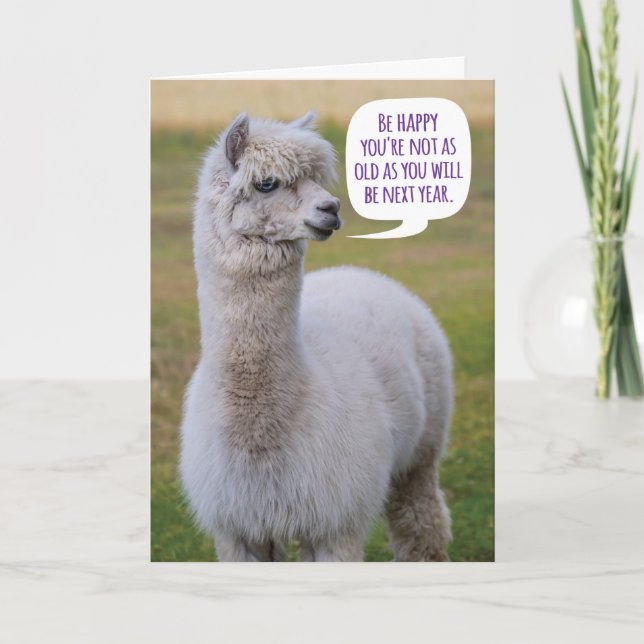Funny Dolly Llama Birthday Wisdom Card (Front)