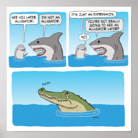 Funny Dolphin, Shark and Sad Alligator