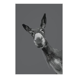 Funny Donkey Grayscale Portrait Art Photo Print