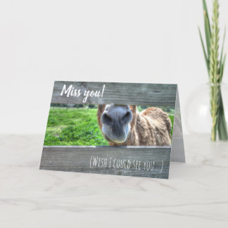 Funny Donkey "I Miss You" Blank Thank You Card