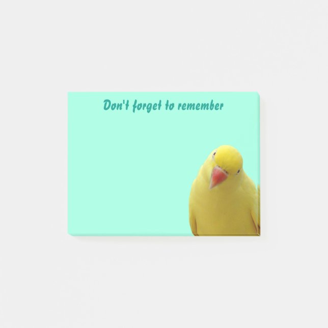 Funny "Don't Forget" Bird Sticky Notes (Front)