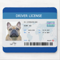 Funny driver license for dog