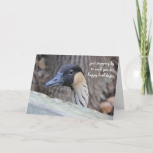 Funny Duck Birthday Card, hope your day is Ducky! Card