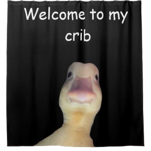Funny Duck Meme – “Welcome to My Crib” Cute Animal