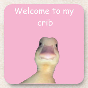 Funny Duck Meme – “Welcome to My Crib” Cute Animal Coaster