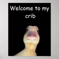 Funny Duck Meme – “Welcome to My Crib” Cute Animal