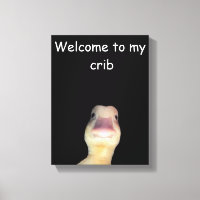 Funny Duck Meme: Welcome to My Crib Duck