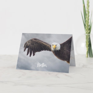 Funny Eagle Hello All Occasion Blank Holiday Card