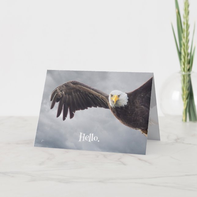 Funny Eagle Hello All Occasion Blank Holiday Card (Front)
