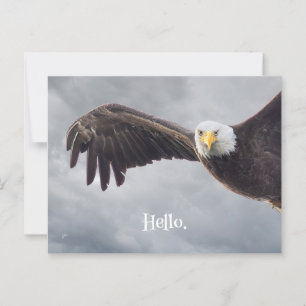 Funny Eagle Hello All Occasion Blank Postcard
