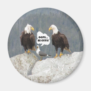 Funny Eagles and Seagull Round Magnet