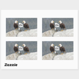 Funny Eagles and Seagull Sticker