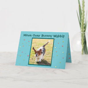 Funny Easter Basset Hound on Easter Card