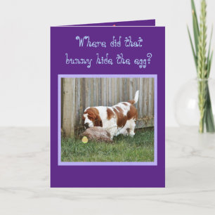Funny Easter Card w/Basset Hound, Bunny, & Egg
