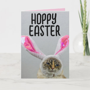 FUNNY EASTER CAT GREETING CARD
