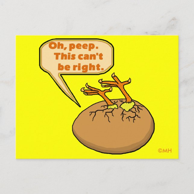 Funny Easter Chick in Egg Holiday Postcard (Front)