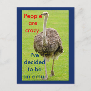Funny Emu Postcard